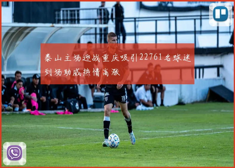 泰山主场迎战重庆吸引22761名球迷到场助威热情高涨