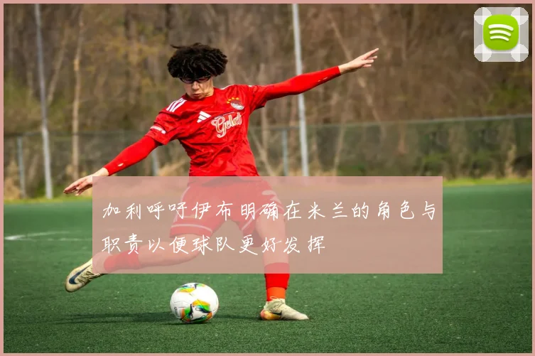 加利呼吁伊布明确在米兰的角色与职责以便球队更好发挥